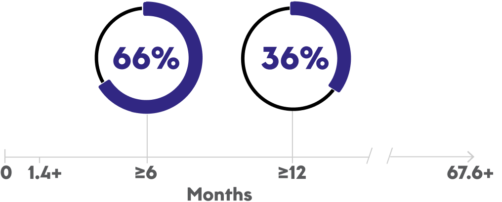 Graphic of duration of response in previously treated patients at 6 and 12 months.