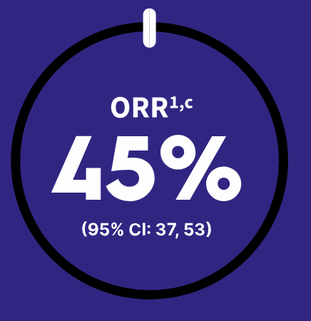 The overall response rate among previously treated patients.