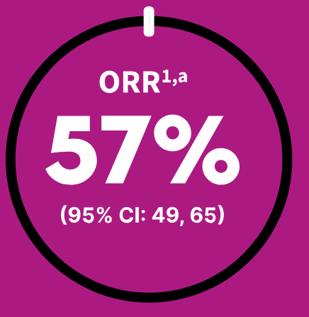 The overall response rate among treatment-naive patients.