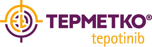 Tepmetko-logo